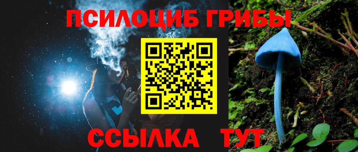 где можно купить наркотик  Псилоцибиновые грибы прущие грибы  Вход с VPN  Семилуки 
