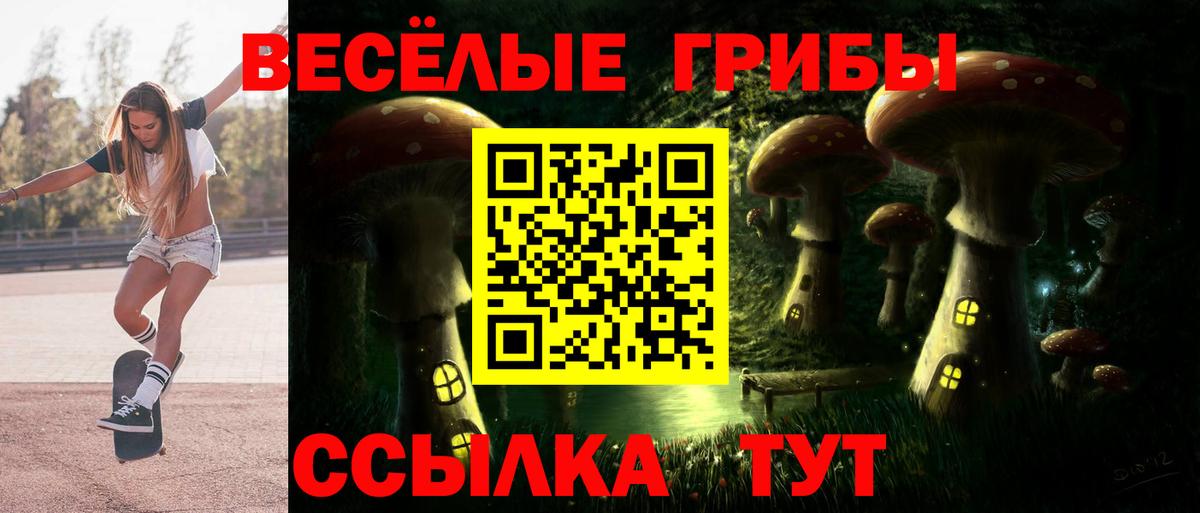 Галлюциногенные грибы ЛСД Семилуки